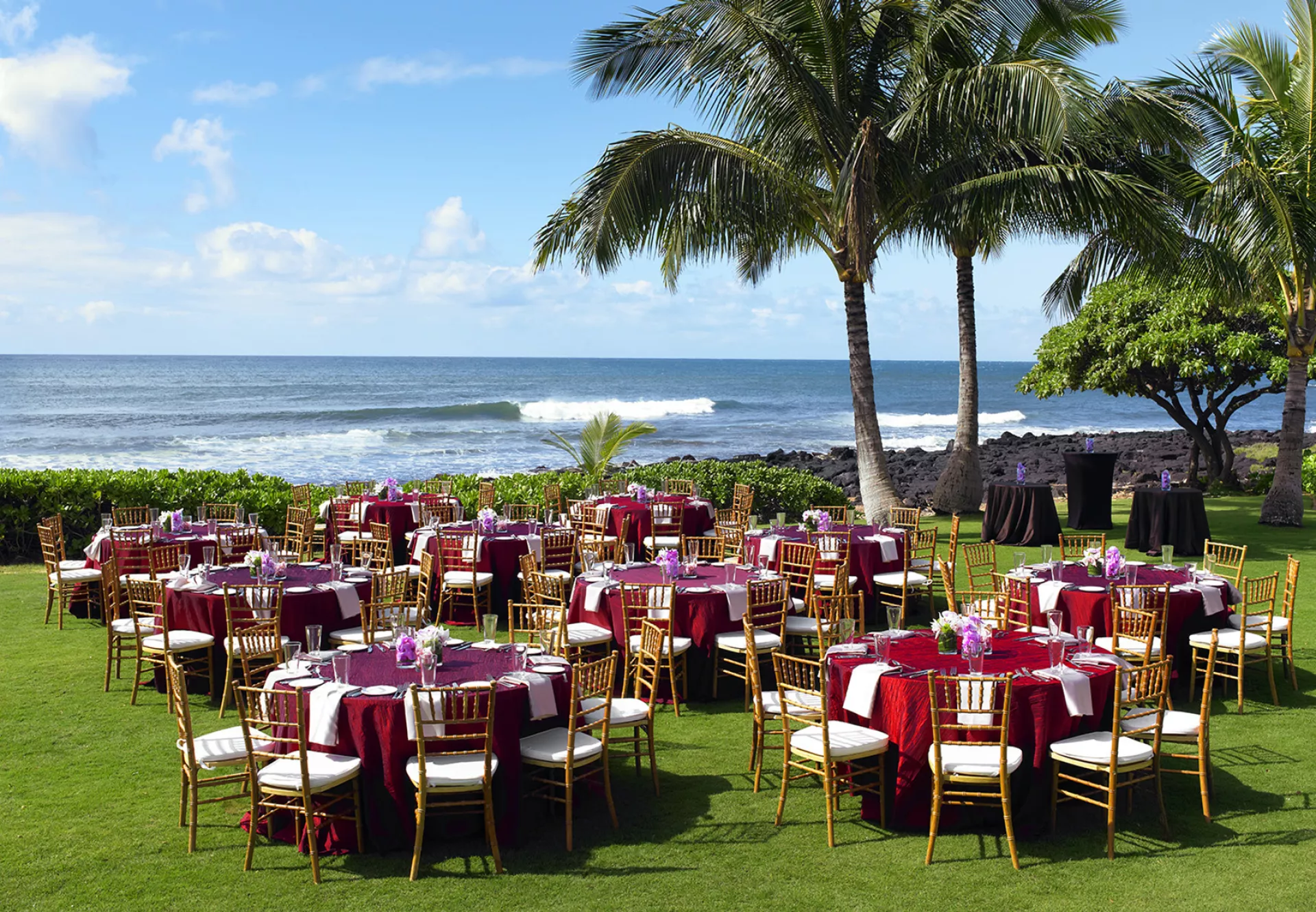 Kauai Wedding Venues and Services Go Hawaii